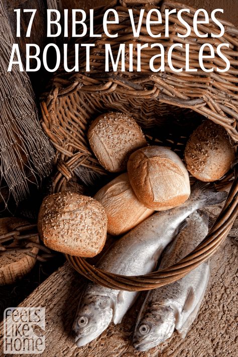 Miracles In The Bible, Waiting For A Miracle, How To Pray Effectively, Prayers Answered, Bible Verse Signs, How To Pray, The Supernatural, Healthy Mom, Intensive Care Unit