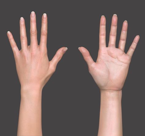 ArtStation - HAND STUDY 2 Hands Reference Anatomy, Female Hand Anatomy, Human Body Proportions, Hand Study, Hand Anatomy, Hands Tutorial, Female Anatomy Reference, Body Study, Body Template