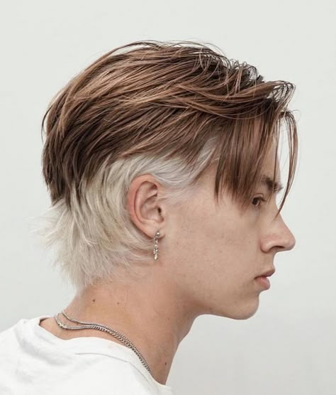 Medium Brown Hair with Blonde Underlayer Mens Wolfcut Short, Men’s Alt Haircuts, Queer Man Haircut, Short Hair Color Placement, Short Haircuts Undercut, Mens Split Dye, Soft Mullet With Curtain Bangs, Wolf Undercut, Mullet Hair Dye Ideas