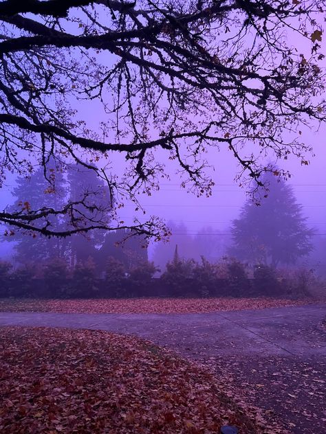 Purple Aesthetic Wallpaper Halloween, Dark Purple Nature Aesthetic, Purple Fall Asthetic, Peaceful Purple Aesthetic, Halloween Aesthetic Purple Orange, Fall Purple Aesthetic, Autumn Aesthetic Purple, Gloomy Purple Aesthetic, Vibrant Purple Aesthetic