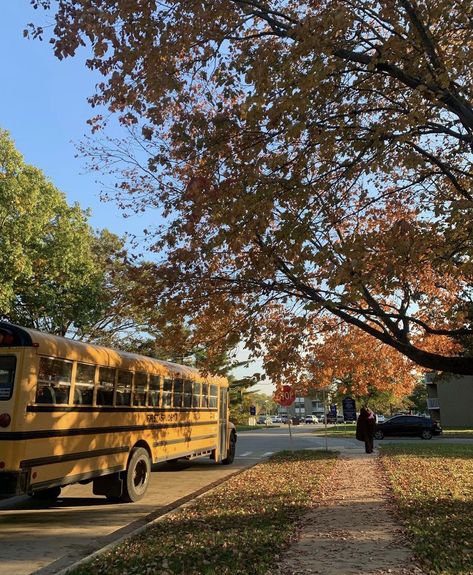 Fall Main Character Aesthetic, Quiet Fall Aesthetic, September Aethestic, Fall Acedamia Aesthetic, Fall Aesthetic September, Back To School Autumn Aesthetic, Romanticize Autumn Aesthetic, Beginning Of Fall Aesthetic, Fall Aesthetic Yellow