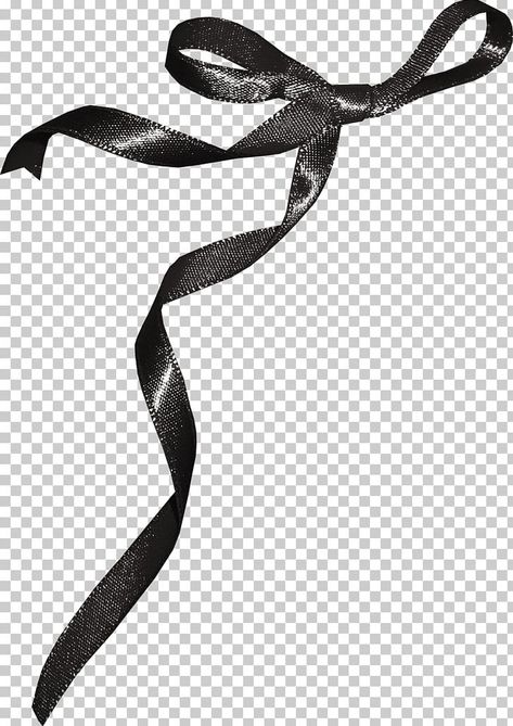 Bows And Ribbons, Transparent Images Png, Ribbon Png Aesthetic, White Ribbon Png, Black Ribbon Png, White Bow Png, Ribbon Graphic Design, Bow Transparent Background, Bow Png Aesthetic