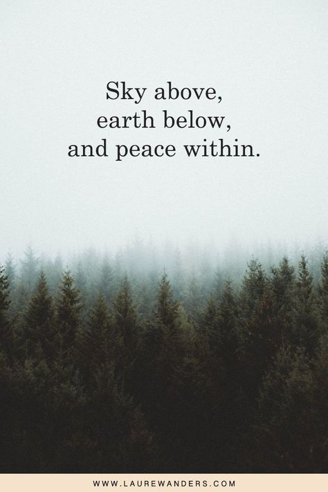 This post features some of the most beautiful nature quotes and captions. Whether for your Instagram picture or for inspiration. Short Nature Quotes, Nature Captions, Forest Quotes, Citation Nature, Nature Quotes Inspirational, Mother Nature Quotes, Mountain Quotes, Quotes Nature, View Quotes