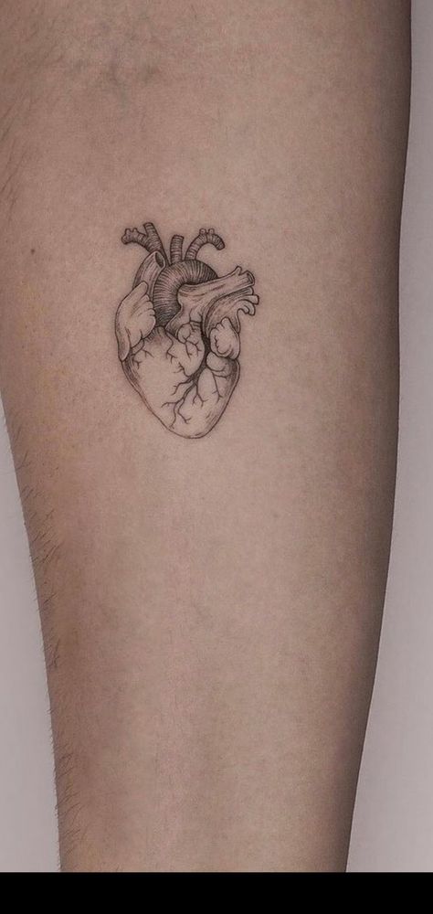 Heart Soul Tattoo, Mini Anatomical Heart Tattoo, El Corazon Tattoo, Fineline Anatomical Heart Tattoo, Anatomical Heart Tattoo Placement, Heart Anatomical Tattoo, Nursing Student Tattoo, Small Real Heart Tattoo, Organ Tattoo Ideas