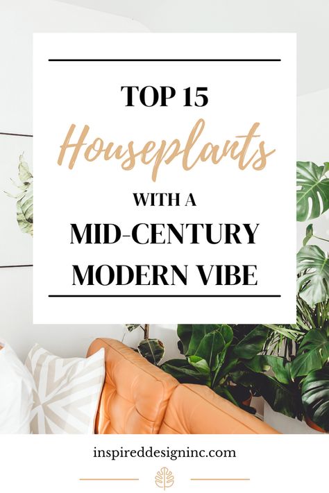 Mid Century Modern Eclectic, Mid Century Modern Plants, Mid Century Plants, Modern Floral Arrangements, Home Vibes, Mid Century Office, Mid Century Modern Office, Mid Century Modern Interior Design, Mid Century Interior