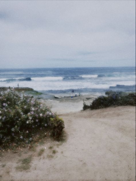 Airy Beach Aesthetic, Flowers And Beach Aesthetic, Calm Vintage Aesthetic, Relaxing Beach Aesthetic, Ocean Calm Aesthetic, Floral Beach Aesthetic, Beach Aesthetic Polaroid, Vintage Album Covers Aesthetic, Ocean Aesthetic Photos