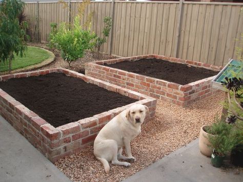 Brick Raised Garden Beds, Creative Raised Garden Beds, Brick Planter, Brick Yard, Brick Edging, Vegetable Garden Raised Beds, Building A Raised Garden, Brick Garden, Veg Garden