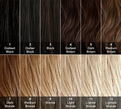 Help! What level is my hair? How to find your hair color level for best results when coloring your own hair at home. The level system of hair color is a universal system used by colorists, cosmetologists and hair color manufacturers to standardize hair color charts. #haircolor #hairtips #hairhacks #hair #chart Hair Level Chart, Levels Of Hair Color, Level 6 Hair Color, Blonde Hair Color Chart, Brown Hair Color Chart, Hair Chart, Hair Levels, Honey Blonde Hair Color, Lighter Hair