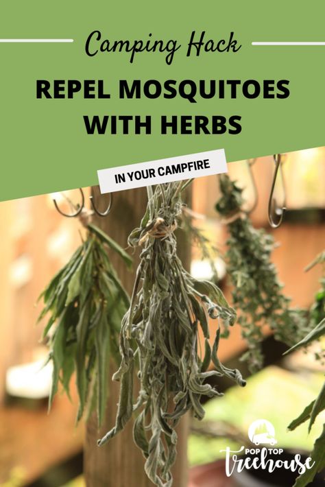 Moskito Repellant, Mosquitoes Remedies, Camping Hack, Mosquito Repellent Homemade, Diy Mosquito Repellent, Best Mosquito Repellent, Simple Camping, Natural Mosquito Repellent, Mosquito Spray