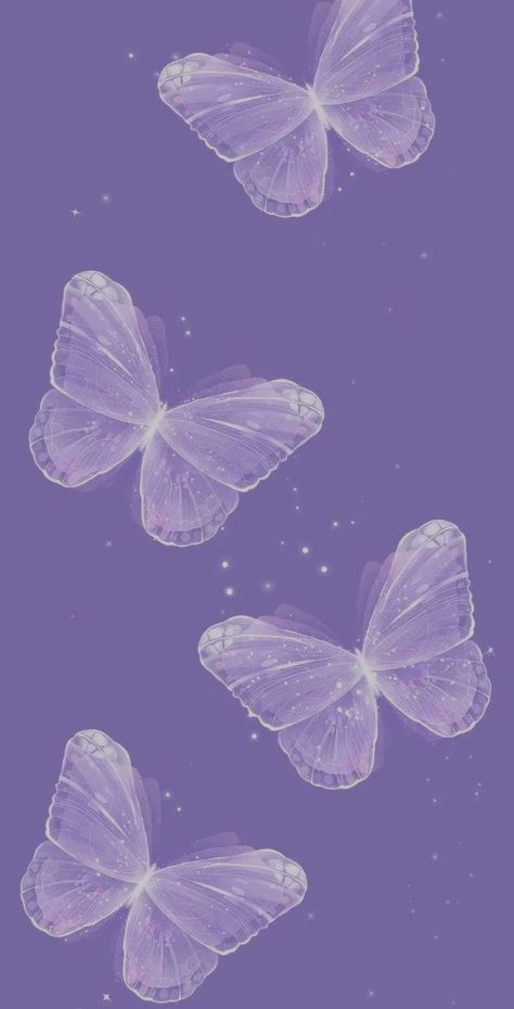 Paypal Wallpaper, Ungu Lilac, Violet Wallpaper, Purple Butterfly Wallpaper, Light Purple Wallpaper, Camera Wallpaper, Cute Home Screen Wallpaper, Dark Purple Wallpaper, Fairy Wallpaper