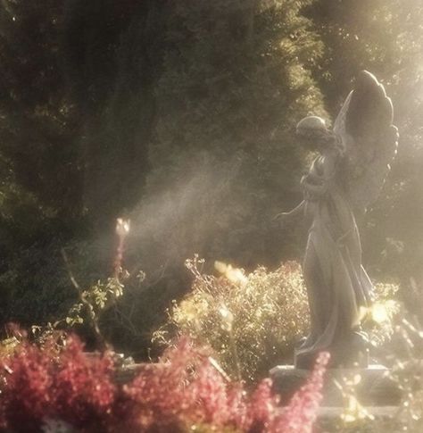 Faerie Aesthetic, Persephone Goddess, Angel Statue, Ethereal Aesthetic, Fairy Aesthetic, Angel Aesthetic, Hades And Persephone, Aesthetic Flowers, Magic Aesthetic