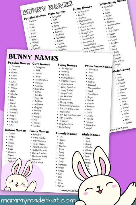 Bunny Names (The Best Rabbit Names Ever!) Unique Bunny Names, Cute Bunny Names List, Names For Bunnies, Rabbit Names Ideas, Cute Display Names, Boy Rabbit Names, Bunny Names Ideas, Easter Fundraiser, Names Starting With S