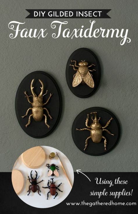 Quick Diy Gifts, Diy Halloween Dekoration, Halloween Decor Diy, Insect Taxidermy, Diy Halloween Decor, Faux Taxidermy, Quick Diy, Insect Art, Theme Halloween