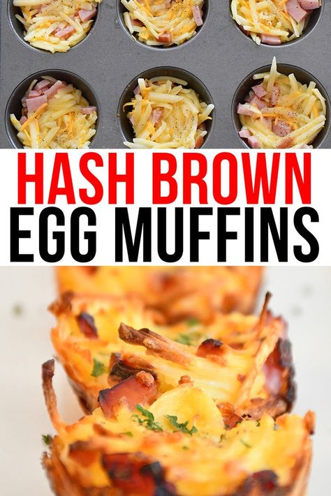 Egg Muffins With Hashbrown Crust, Breakfast Casserole Muffins With Hashbrowns, Breakfast Egg Bake Muffins, Easy Breakfast Ideas Hashbrowns, Ham Hashbrown, Egg And Ham Recipes, Egg And Hashbrown Muffins, Egg Bites With Hashbrowns Recipe, Egg Muffins With Hash Browns