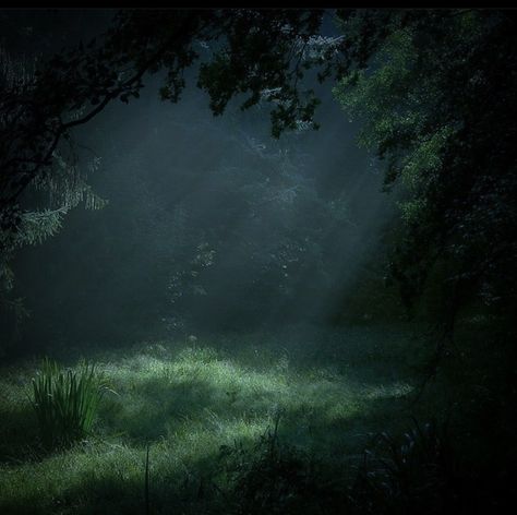 Dark Forest Aesthetics, Dark Forest Core Aesthetic, Dark Green Twilight Aesthetic, Night In The Forest Aesthetic, Misty Green Aesthetic, Twilight Woods Aesthetic, Dark Misty Forest Aesthetic, Jodiecore Aesthetic, Forest Core Wallpaper