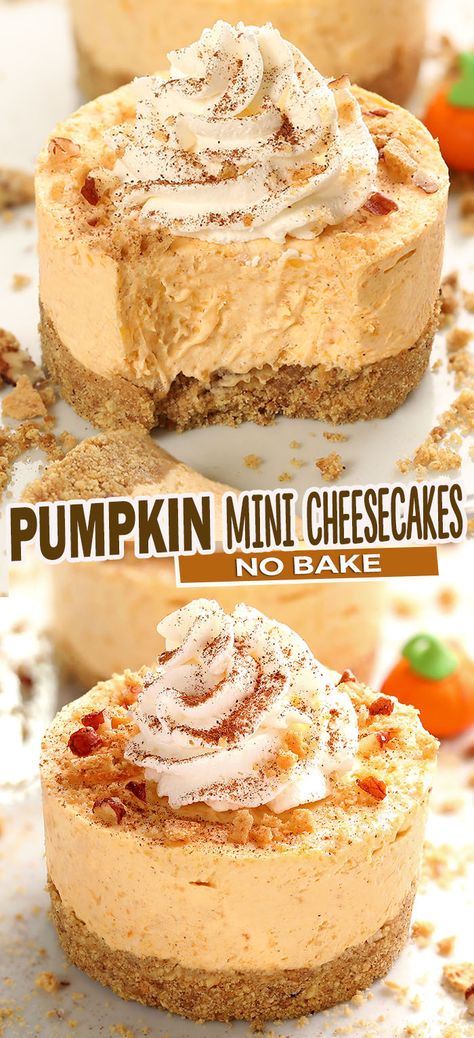 Muffin Tin Pumpkin Cheesecake, Cheesecake Bites Pumpkin, Fall Recipes Dessert Halloween, Homemade Fall Recipes Dinner, Easy Fall Deserts For A Party, Pumpkin Cheesecake For Two, Pumpkin Pie Mini Cheesecakes, Pumpkin Mini Cheesecake Recipes, Easy Desserts To Make And Sell