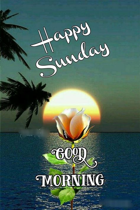 Happy Sunday Morning Beautiful, Good Sunday Morning Quotes, Blessings Wallpaper, Happy Sunday Images Beautiful, Sunday Morning Quotes Inspirational, Good Morning Sunday Wishes, Good Morning Happy Sunday Images, Sunday Wishes Images, Sunday Good Morning Images