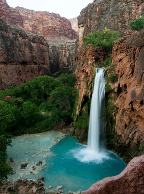 Havasupai Falls, World Of Wanderlust, Havasu Falls, Arizona Road Trip, Arizona Hiking, Dream Honeymoon, Waterfall Hikes, Northern Arizona, Beautiful Waterfalls