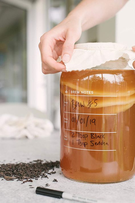 Kombucha Brewing, Diy Kombucha, Kombucha Starter, Kombucha Scoby, How To Brew Kombucha, Organic Sugar, Craft Brewing, How To Make Beer, Fermenting