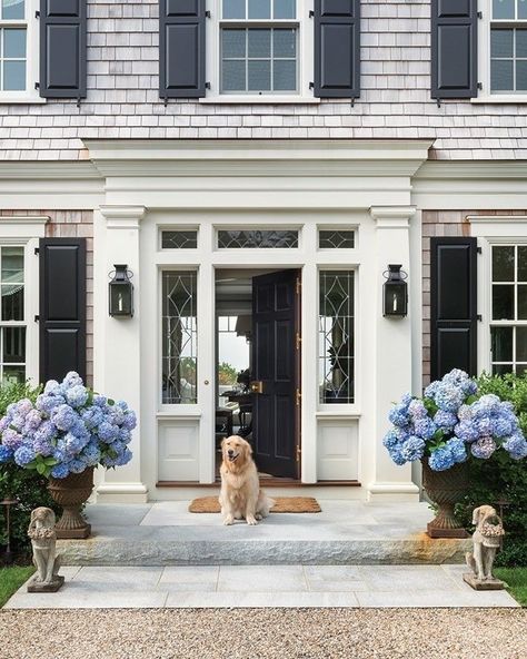 Cape Cod House Exterior, Shingle Style Architecture, England Aesthetic, New England Home, Blue Hydrangeas, Cape House, Cape Cod House, New England Homes, New England Style