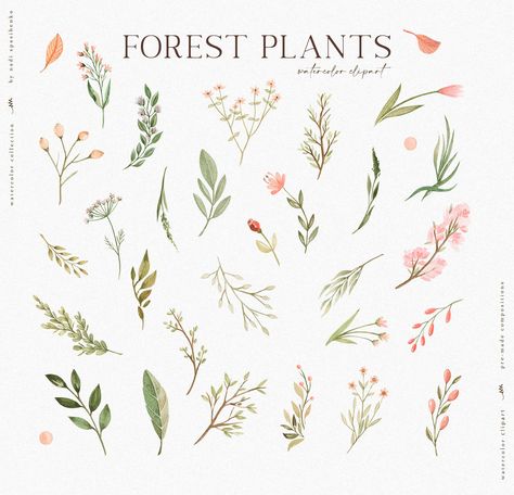 Watercolor Forest Baby Vol.2 by Spasibenko Art on @creativemarket Forest Flowers Illustration, Uzbek Architecture, Watercolor Forest, Forest Baby, Forest Flowers, Different Flowers, Watercolor Animals, Flower Illustration, Botanical Illustration