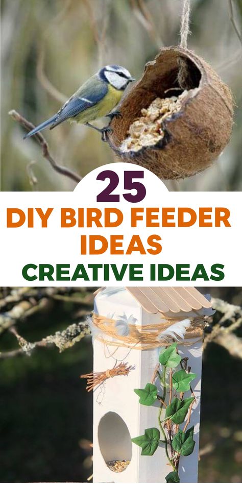 Welcome feathered friends to your garden in style with these charming DIY bird feeder ideas! Elevate your outdoor space with creative and unique feeders made from recycled materials or inspired by nature. These projects not only provide nourishment for birds but also double as decorative elements, adding joy to your garden. Embrace the beauty of birdwatching and nature with fun and easy crafting that brings whimsy to your backyard! Upcycled Bird Feeder, Mini Rock Garden, Bird Feeder Station, Unique Bird Feeders, Fall Landscaping, Mailbox Landscaping, Bird Feeder Craft, Easy Bird, Homemade Bird Feeders