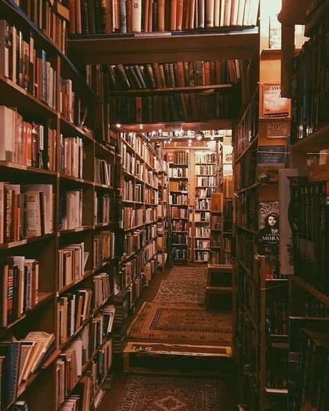 Dream Library, Old Library, Library Aesthetic, Home Libraries, Dark Academia Aesthetic, World Of Books, Academia Aesthetic, Home Library, Book Nooks