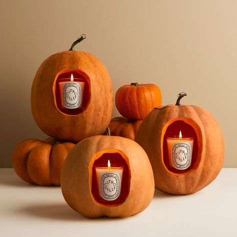 Pumpkin Scented Candles, Popular Candles, Pumpkin Candle Holder, Pumpkin Scent, Pumpkin Candle, Fall Fragrance, Pumpkin Candles, Beauty Products Photography, The Senses