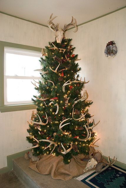 With Galvanized tub at base and a few shot gun shells over some lights...Yep..there's our Christmas tree this yr ha ha! Antler Decorations, Elk Horns, Antler Christmas Tree, Antler Tree, Heavenly Christmas, Neck Ideas, Camo Christmas, Pallet Shed Plans, Antler Christmas