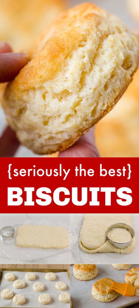 how to make biscuits Fluffy Homemade Biscuits, Homemade Bread Recipes, Best Biscuit Recipe, Best Biscuits, Easy Homemade Biscuits, Homemade Biscuits Recipe, Easy Biscuit Recipe, Homemade Bread Recipes Easy, Biscuits Easy