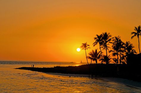 Yellow Summer Aesthetic, Yellow Scenery, Summer Vibes Wallpaper, Orange Vibe, Horizontal Photos, Orange Aura, Horizontal Wallpaper, Golden Summer, Yellow Sunset