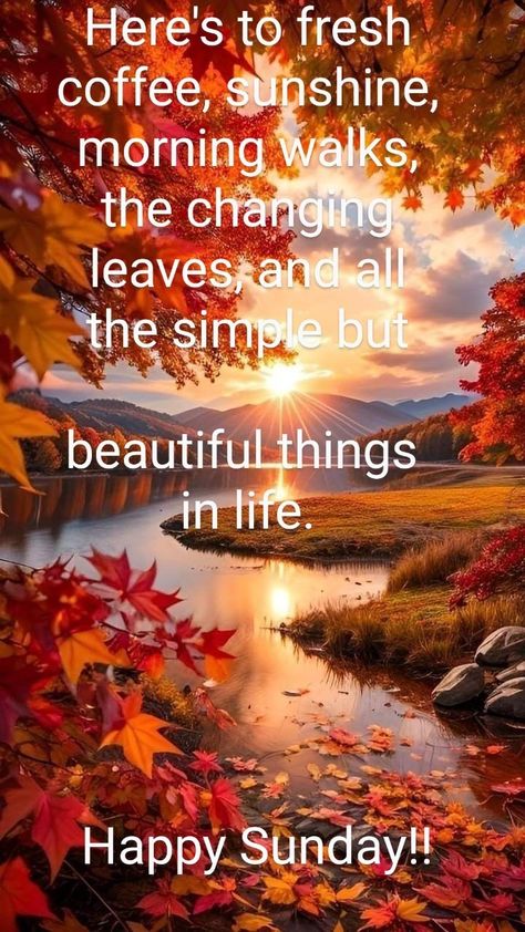 Fall Good Morning Quotes Inspirational, Sunday Fall Morning Quotes, Autumn Friday Morning, Sunday Afternoon Quotes, Happy Sunday Quotes Positivity, Happy Sunday Coffee, Happy Sunday Images Beautiful, Sunday Morning Quotes Inspirational, Weekday Motivation