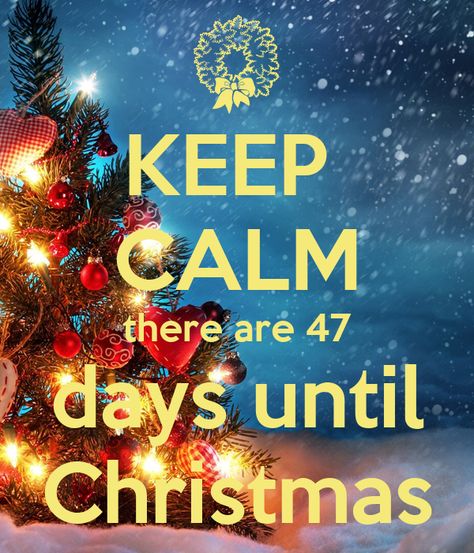 Days Till Christmas, Ideas For Christmas, Days Until Christmas, Christmas Night, Christmas Books, Christmas Countdown, Get In Shape, Shirt Ideas, Christmas Eve