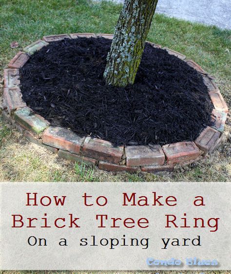 how to make a brick tree ring boarder in a sloping yard Tree Brick Border, Diy Tree Ring Landscape, How To Landscape Around A Tree, Paver Boarder, Around Tree Landscaping, Tree Border Ideas, Plants Around Trees, Landscape Around Tree, Garden Around Tree