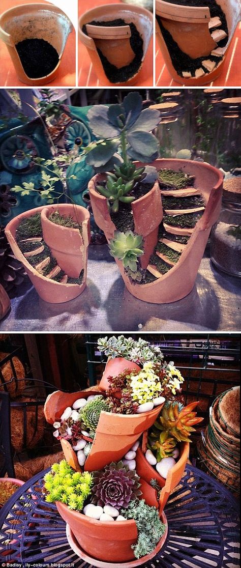 Plant pots often break but don't throw them away - you can make them into these beautiful designs for your garden Pots With Plants, Entrance Flowers, Broken Pot Garden, Succulent Diy, Fairies Garden, نباتات منزلية, Money Makers, Small Succulents, Fairy Garden Diy