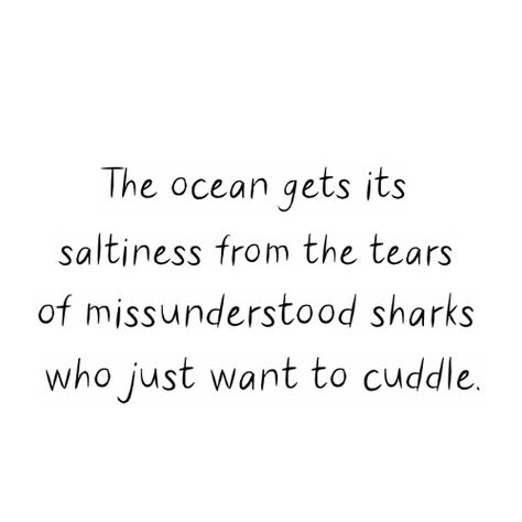 quote, shark, tears Quotes About Sharks, Shark Quotes, Shark Tail, Cute Shark, Quote Aesthetic, Sharks, Quotes, Quick Saves