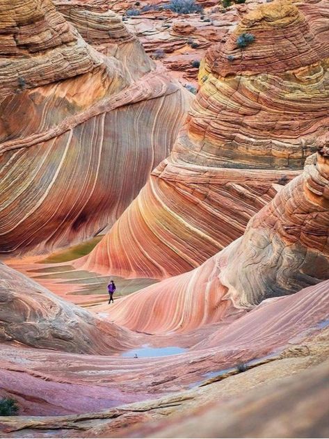 The Wave is a sandstone rock located in Vermilion Cliffs National Monument on the Arizona and Utah borders. The swirling formation combines water and wind eroded sandstone dunes calcified vertically and horizontally and fossilized over 190 million years. Only 20 people are permitted to visit the natural wonder daily, which can only be reached by foot. The Wave Arizona, Trip Planner, Arizona Travel, Rock Formations, Beautiful Places In The World, The Wave, Beautiful Places To Travel, Kauai, Most Beautiful Places