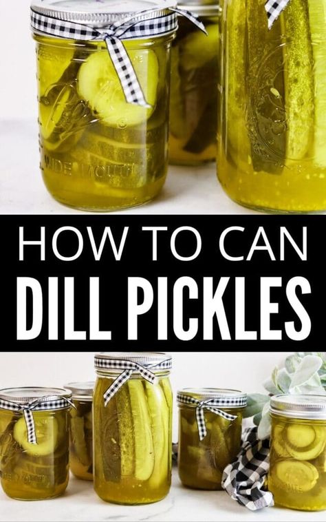 Dill Pickle Recipes For Canning, Canned Dill Pickles Recipe, Cucumber Dill Pickle Recipes, Pickle Spears Canning, Home Made Dill Pickles Recipe, Dill Pickle Brine Recipe For Canning, Pickled Cucumbers Canned, Pickle Canning Recipes Dill, Homemade Canned Dill Pickles