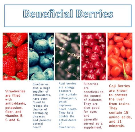 Everyone knows about strawberries and blueberries and how delicious and refreshing they are as snacks or toppings to our favorite dishes.  But have you ever heard of a bilberry? Or what about an acai or goji berry? Ranging from sweet to tangy, all five berries have incredible flavors that would surely compliment their health benefits. http://www.birdsnestfoundation.org/index.php?option=com_k2&view=item&id=169:beneficial-berries&Itemid=181 Strawberries And Blueberries, Apocalypse Survival, Goji Berry, Eating Tips, Herbs For Health, Acai Berry, Healthy Eating Tips, Goji Berries, Zombie Apocalypse