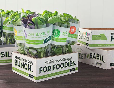 Fresh Produce Packaging, Fresh Food Packaging, Salad Packaging, Vegetable Packaging, Organic Packaging, Vegetable Shop, Grocery Store Design, Fruit Packaging, Food Packaging Design