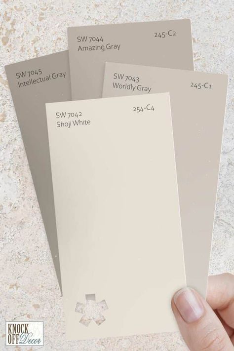 White Wall Gray Trim, Paint Colour Bedroom, Bedroom All One Color, White Chocolate Paint Color, Shoji White Trim Exterior, Shoji White Mood Board, Shoji White Paint Palette, Sw Shoji White Cabinets, Coordinating Colors With Shoji White