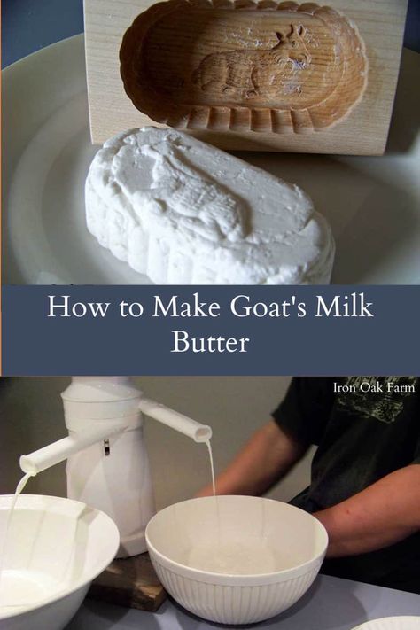 How to Make Goat's Milk Butter Trimming Goat Hooves, Goat Butter, Goat Milking, Goat Milk Recipes, Goat Recipes, Make Butter, Feeding Goats, Goat Herding, Milk Brands