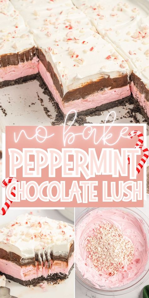 Peppermint Mocha Poke Cake, Peppermint Layered Dessert, No Bake Chocolate Peppermint Lasagna, Non Bake Christmas Desserts, Peppermint Icebox Cake, Peppermint Delight Dessert, Pudding Torte Recipes, Frozen Peppermint Dessert, No Bake Xmas Desserts