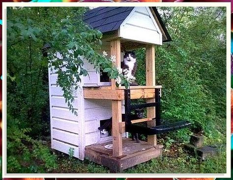 Get the best cat house for your pet from Amazon's extensive range of pet products. Katt Hus, Outside Cat Enclosure, Outside Cat House, Feral Cat Shelter, Outdoor Cat Shelter, Feral Cat House, Cat Playground Outdoor, Cat Patio, Outdoor Cat Enclosure