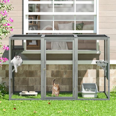 PRICES MAY VARY. 【Ultimate Outdoor Haven for Cats 🐱】: Create a paradise for your beloved feline with our spacious outdoor cat enclosures. Featuring three platforms for lounging or play, this catio outdoor cat enclosure provides a safe and stimulating environment for cats to explore and unwind in the fresh air. 【Durable & Secure Construction 🛠️】: Crafted from natural fir wood and galvanized metal mesh, our cat cage offers a robust and pet-friendly design. The sturdy structure ensures reliable p Flat Roof Covering, Outdoor Cat Tree, Outdoor Cat Cage, Cat Cage, Cat Crate, Cat Patio, Outdoor Cat Enclosure, Outdoor Cat House, Cat Cages