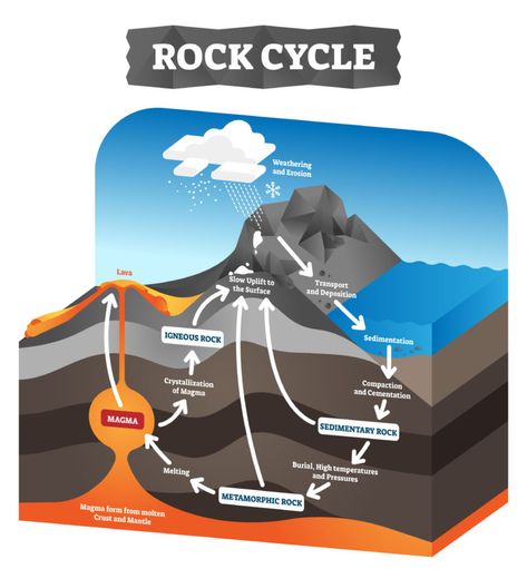 Rock Cycle Diagram, Sedimentary Rock Formation, Different Types Of Rocks, How To Identify Rocks, Image Rock, Rock Cycle, Rock Types, Sedimentary Rocks, Plate Tectonics