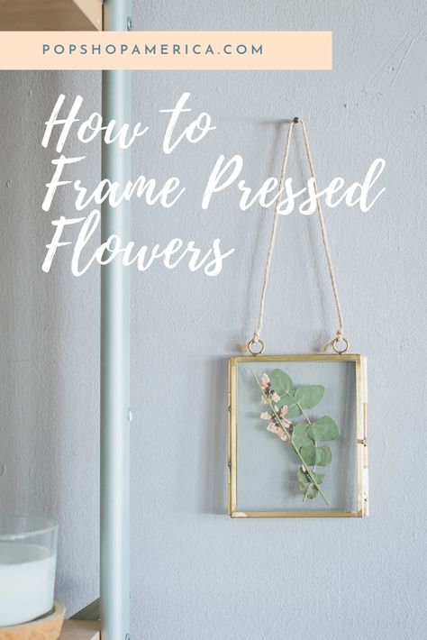 Pressed Flower Memorial Frame, Frame Pressed Flowers Diy, Framing Flowers Pressed, Flowers In Picture Frames Diy, Framed Flowers Diy, Pressed Flowers In Glass Frames Diy, How To Arrange Dried Flowers In A Frame, Glass Pressed Flowers Diy, How To Frame Pressed Flowers Diy