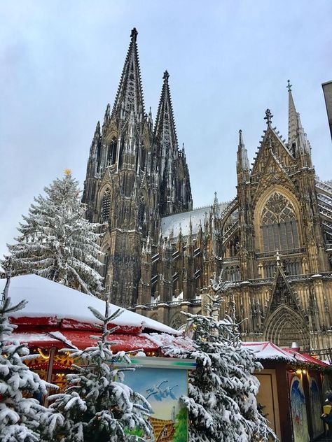 Germany Aesthetic Christmas, Cologne Germany Christmas Market, Christmas Market Cologne, Germany Travel Winter, Cologne Germany Christmas, Germany At Christmas, Christmas Market Germany, Germany Aesthetic Winter, Christmas Cathedral