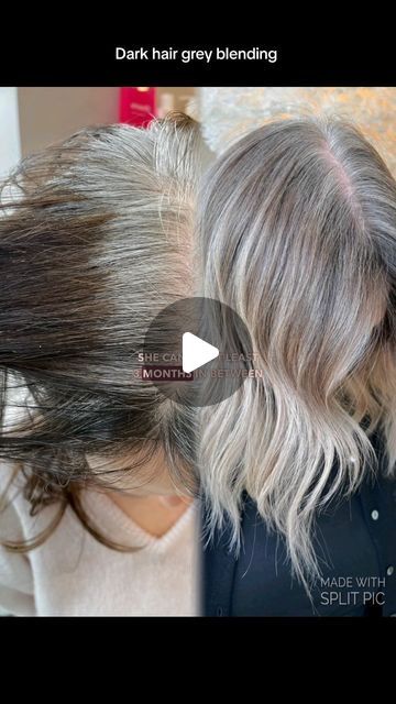 Highlights To Blend Gray, Grey And Ash Blonde Hair, Ideas For Blending Gray Hair, Blend Blonde And Gray, Coloring Hair Grey Silver, Rose Gold Highlights On Gray Hair, Gray Blending Dark Blonde, Ash Blonde Grey Blending, Grey Blending On Brown Hair