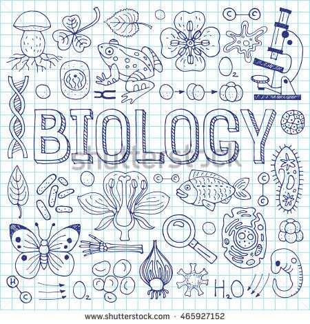 Biology Drawing Ideas Easy, Science Doodles Biology, Biology Doodle Art, Biology Art Draw, Biology Title Page, Exercise Book Design, Biology Doodles, Biology Logo, Biology Background